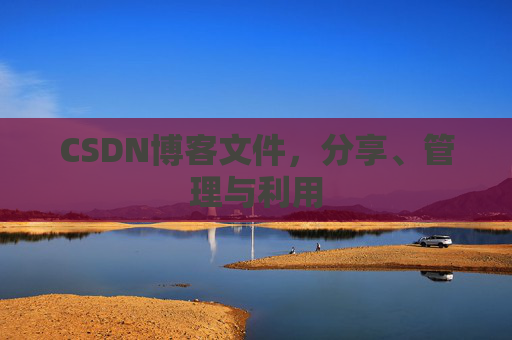 CSDN博客文件，分享、管理与利用